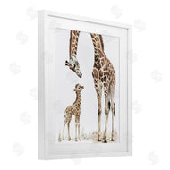Ramona Murdock | Baby Giraffe Calf