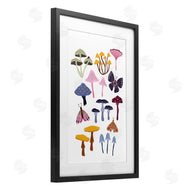 JJ Design House LLC | Various Mushrooms with Insects