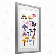 JJ Design House LLC | Various Mushrooms with Insects