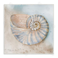 Audrey Jeanne Roberts | Spiral Nautilus on Shore