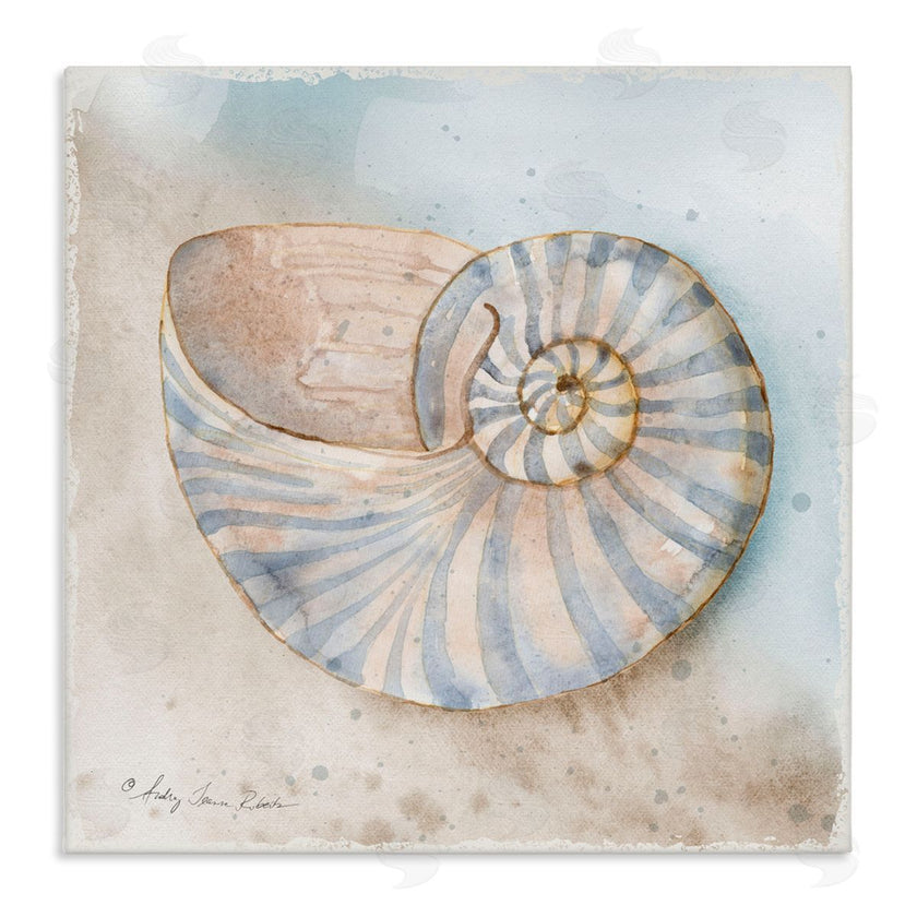 Audrey Jeanne Roberts | Spiral Nautilus on Shore