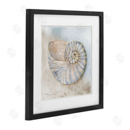 Audrey Jeanne Roberts | Spiral Nautilus on Shore