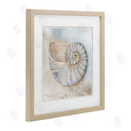 Audrey Jeanne Roberts | Spiral Nautilus on Shore