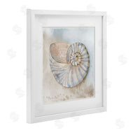 Audrey Jeanne Roberts | Spiral Nautilus on Shore