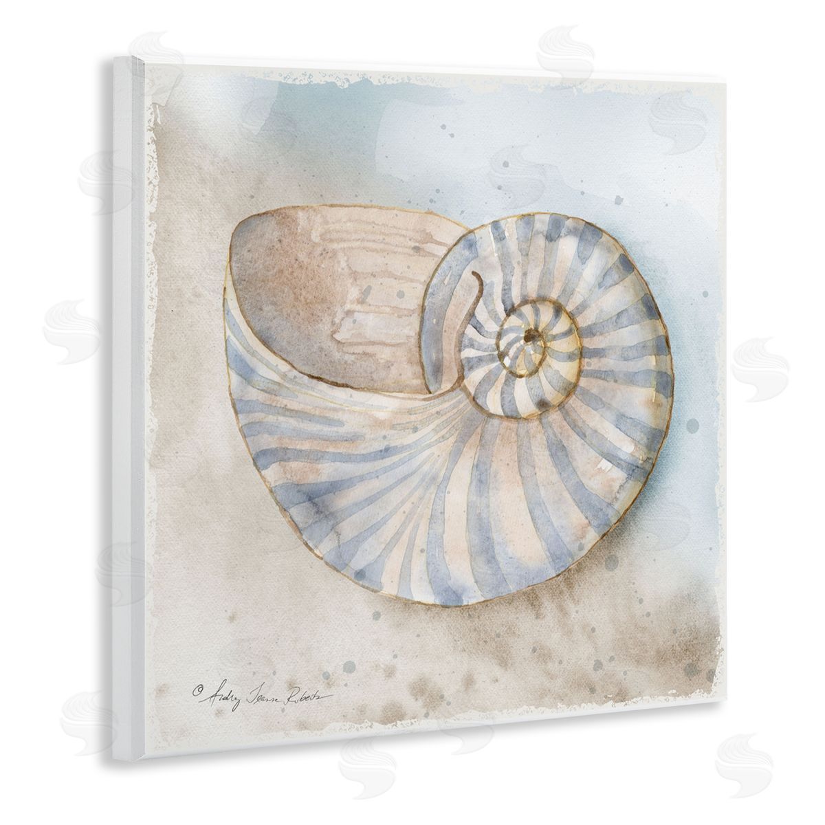 Audrey Jeanne Roberts Spiral Nautilus on Shore Canvas Wall Art Print
