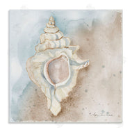 Audrey Jeanne Roberts | Subtle Conch on Shore