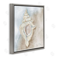 Audrey Jeanne Roberts | Subtle Conch on Shore