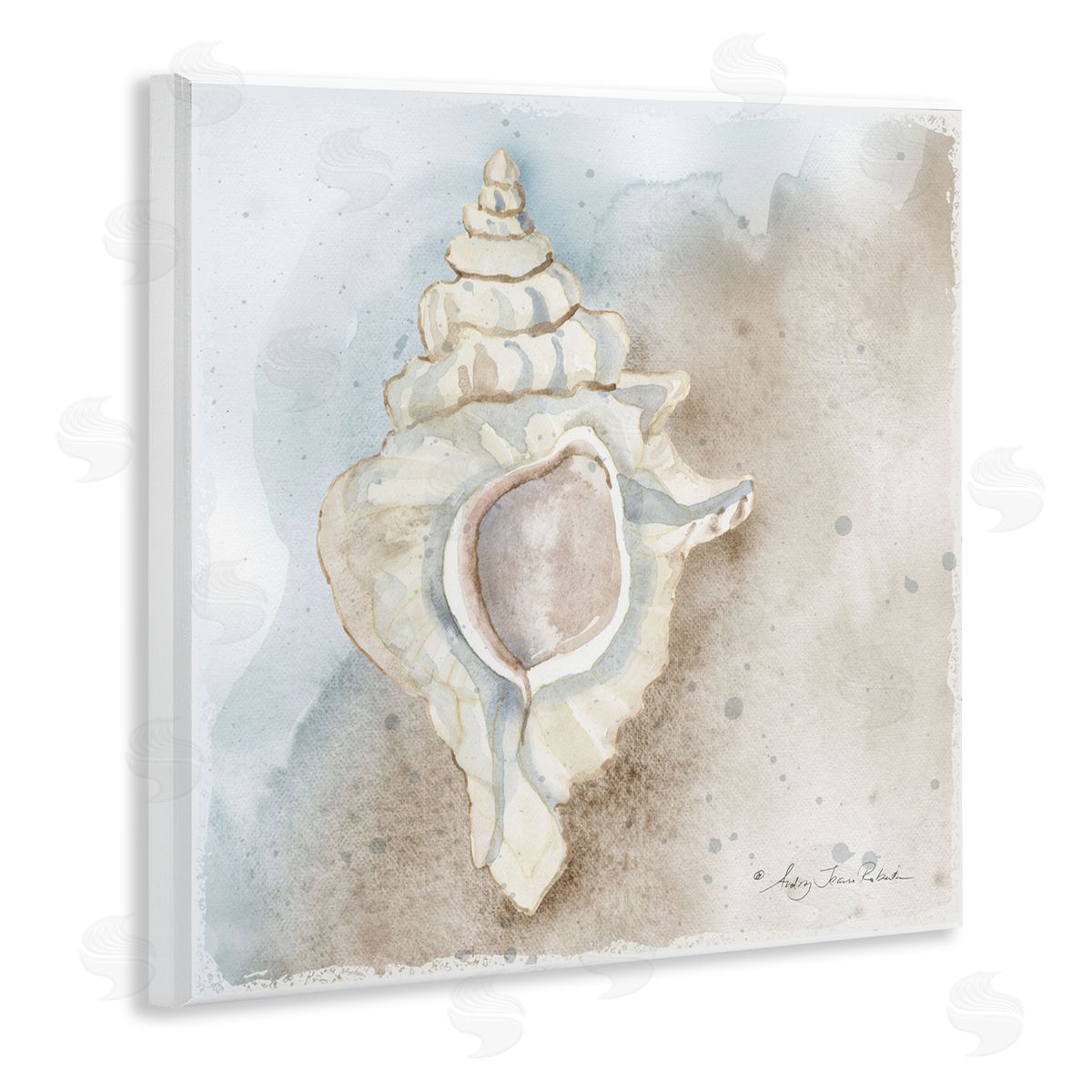 Audrey Jeanne Roberts Subtle Conch on Shore Canvas Wall Art Print