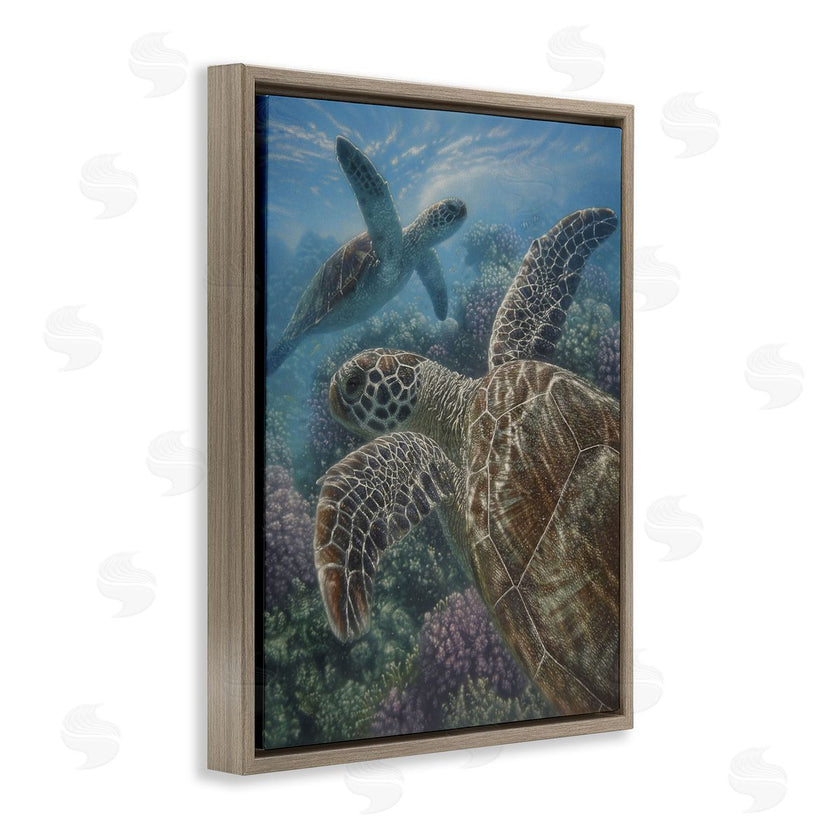 Collin Bogle | Turtle Bay over Reef