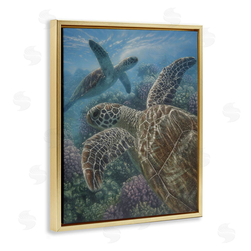 Collin Bogle | Turtle Bay over Reef