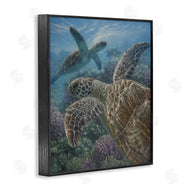 Collin Bogle | Turtle Bay over Reef