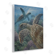 Collin Bogle | Turtle Bay over Reef