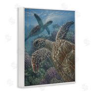 Collin Bogle | Turtle Bay over Reef