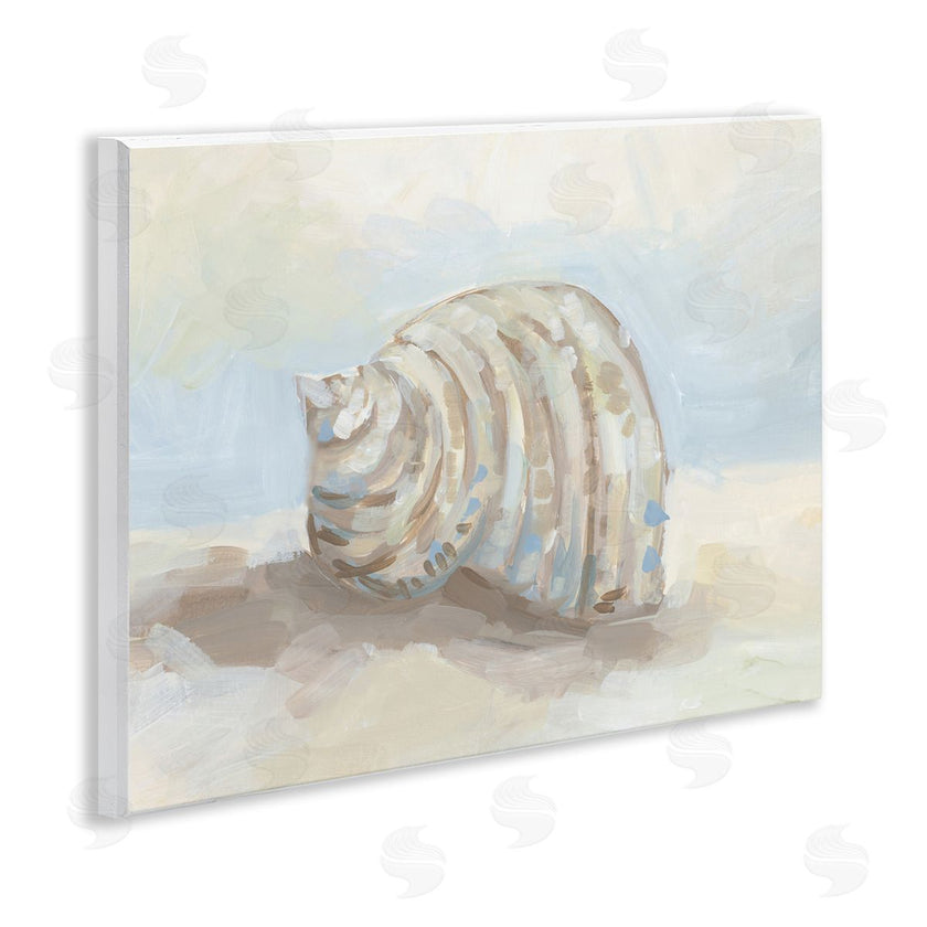 JJ Design House LLC | Curved Blended Seashell