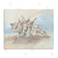 JJ Design House LLC | Soft Blended Spiky Seashell
