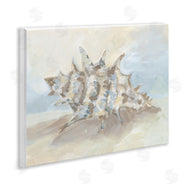 JJ Design House LLC | Soft Blended Spiky Seashell