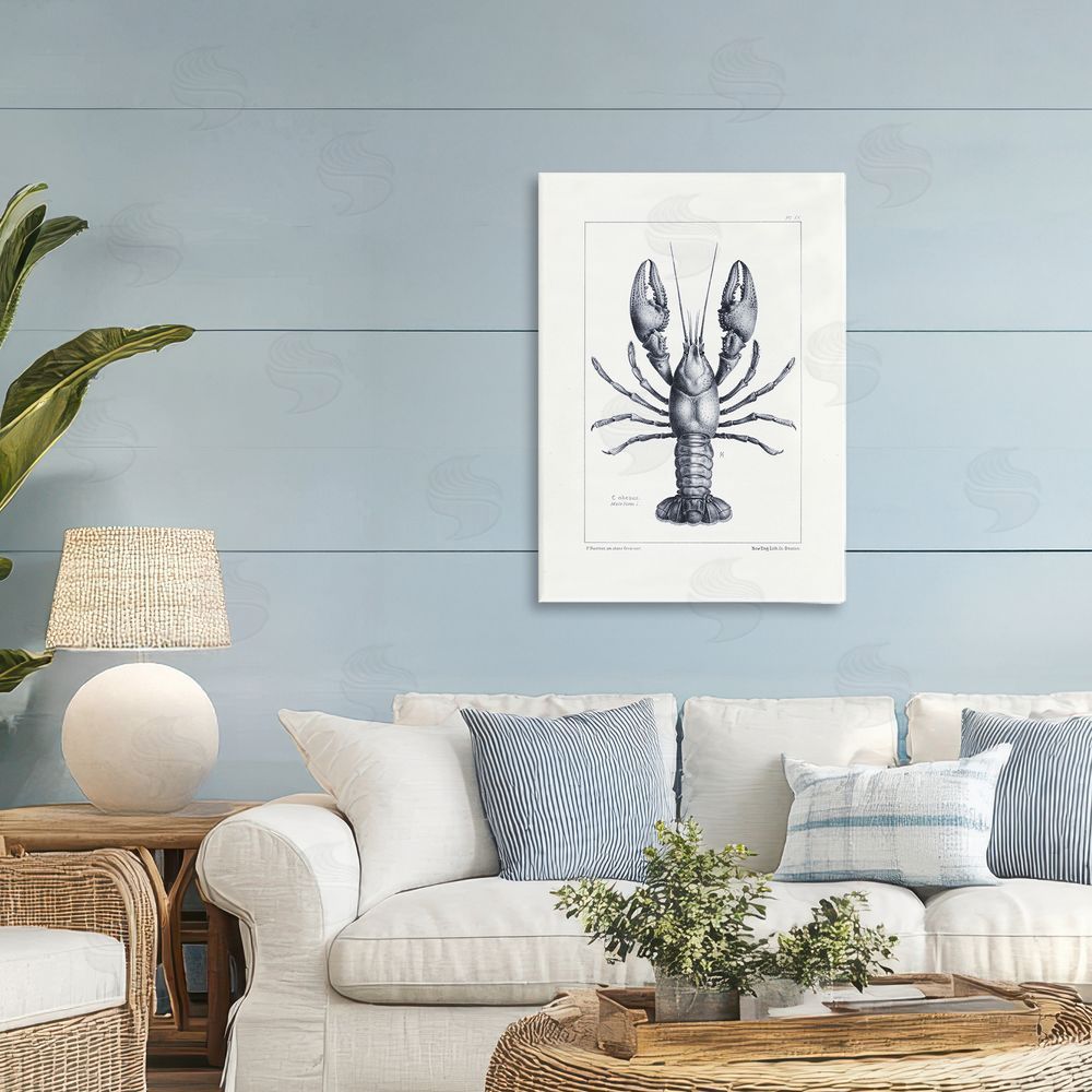 Tina Higgins Designs Inc. Scientific Lobster Specimen Printed Wall Art in Room
