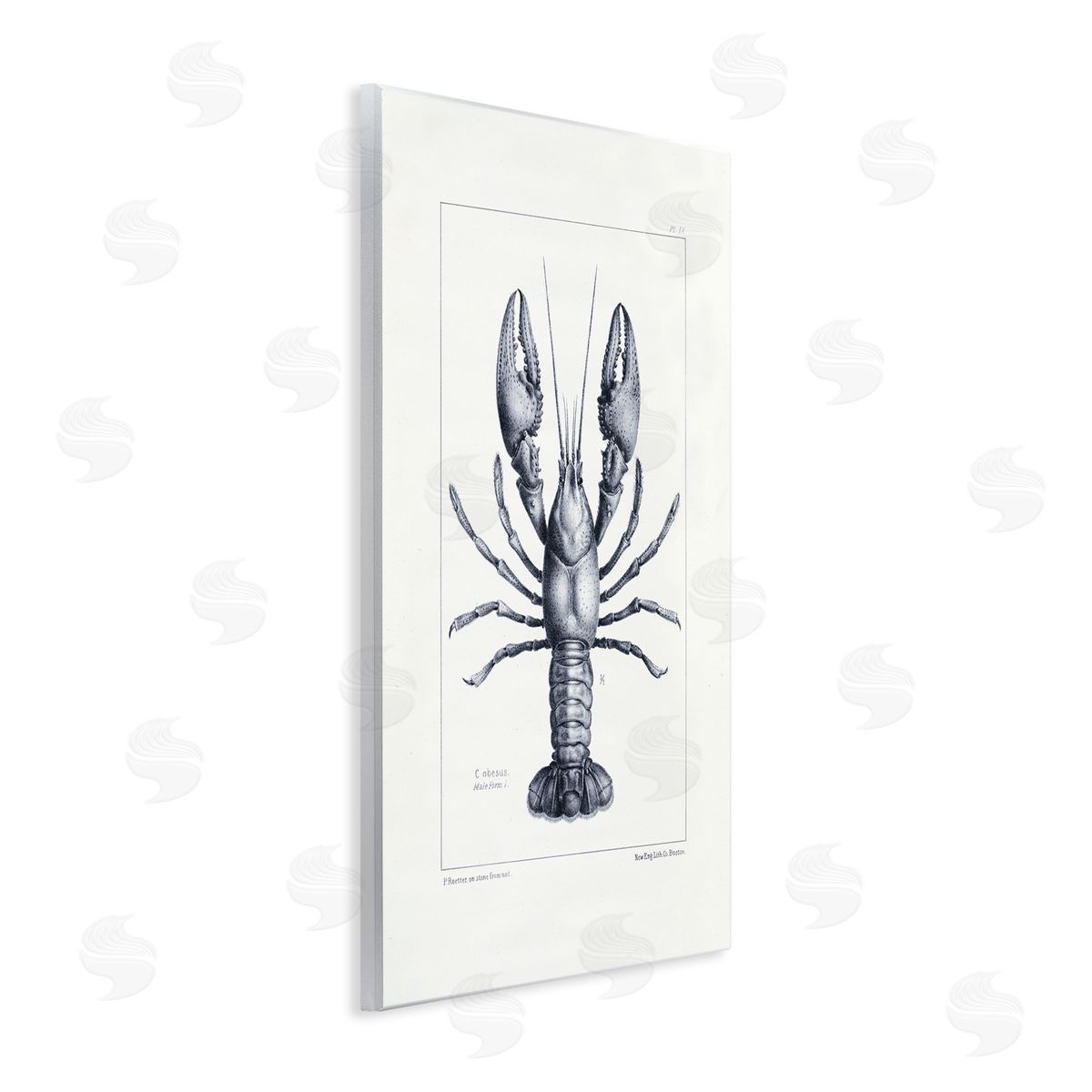 Tina Higgins Designs Inc. Scientific Lobster Specimen Wall Plaque Art Print