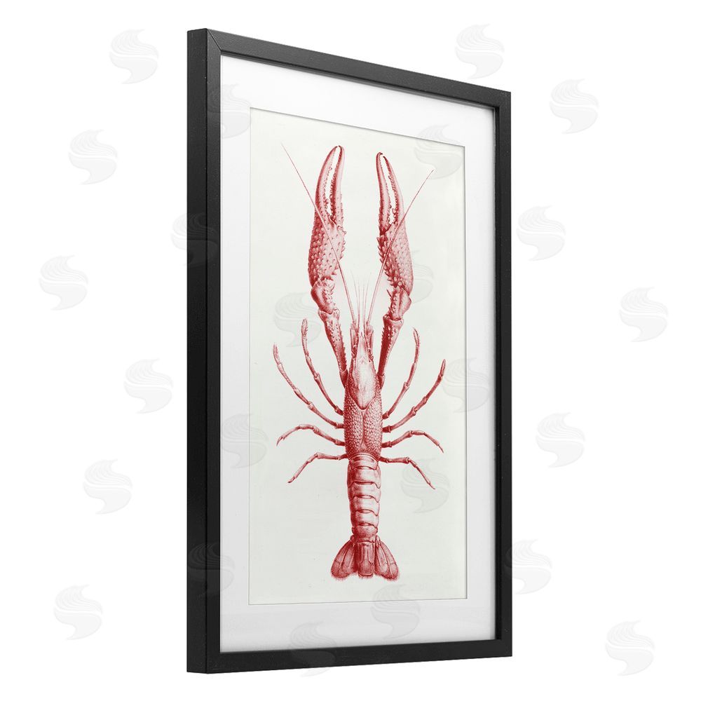 Tina Higgins Designs Inc. Red Lobster Traditional Details Black Framed Print Under Glass Art