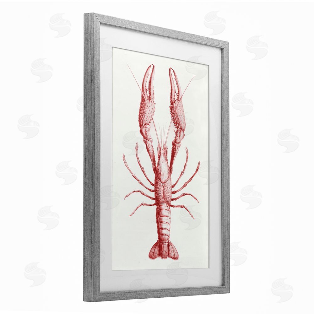 Tina Higgins Designs Inc. Red Lobster Traditional Details Gray Framed Print Under Glass Art
