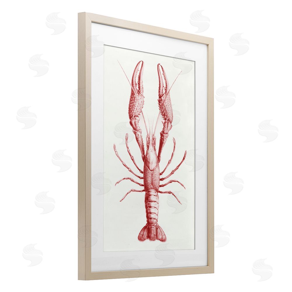 Tina Higgins Designs Inc. Red Lobster Traditional Details Birch Framed Print Under Glass Art