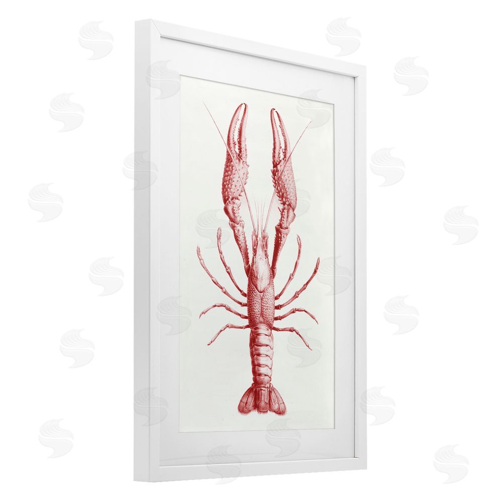 Tina Higgins Designs Inc. Red Lobster Traditional Details White Framed Print Under Glass Art