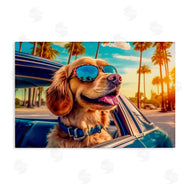 Image World | Cool Puppy Summer Sunset