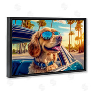 Image World | Cool Puppy Summer Sunset