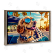 Image World | Cool Puppy Summer Sunset