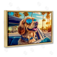 Image World | Cool Puppy Summer Sunset
