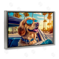 Image World | Cool Puppy Summer Sunset