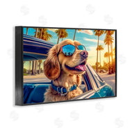 Image World | Cool Puppy Summer Sunset