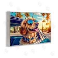 Image World | Cool Puppy Summer Sunset