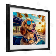 Image World | Cool Puppy Summer Sunset