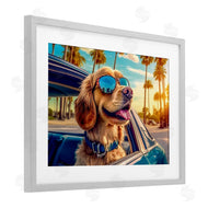 Image World | Cool Puppy Summer Sunset