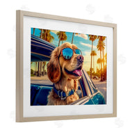 Image World | Cool Puppy Summer Sunset