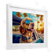 Image World | Cool Puppy Summer Sunset