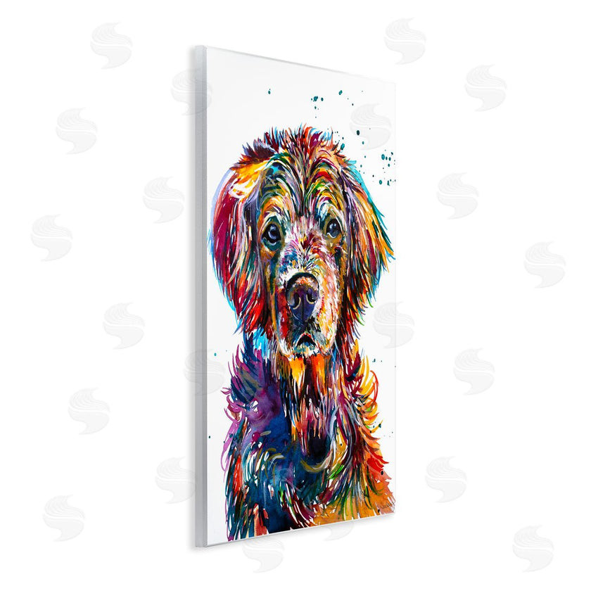 Jennifer Seeley | Retriever Hopi Portrait