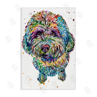 Jennifer Seeley | Lagotto Romagnolo Puppy