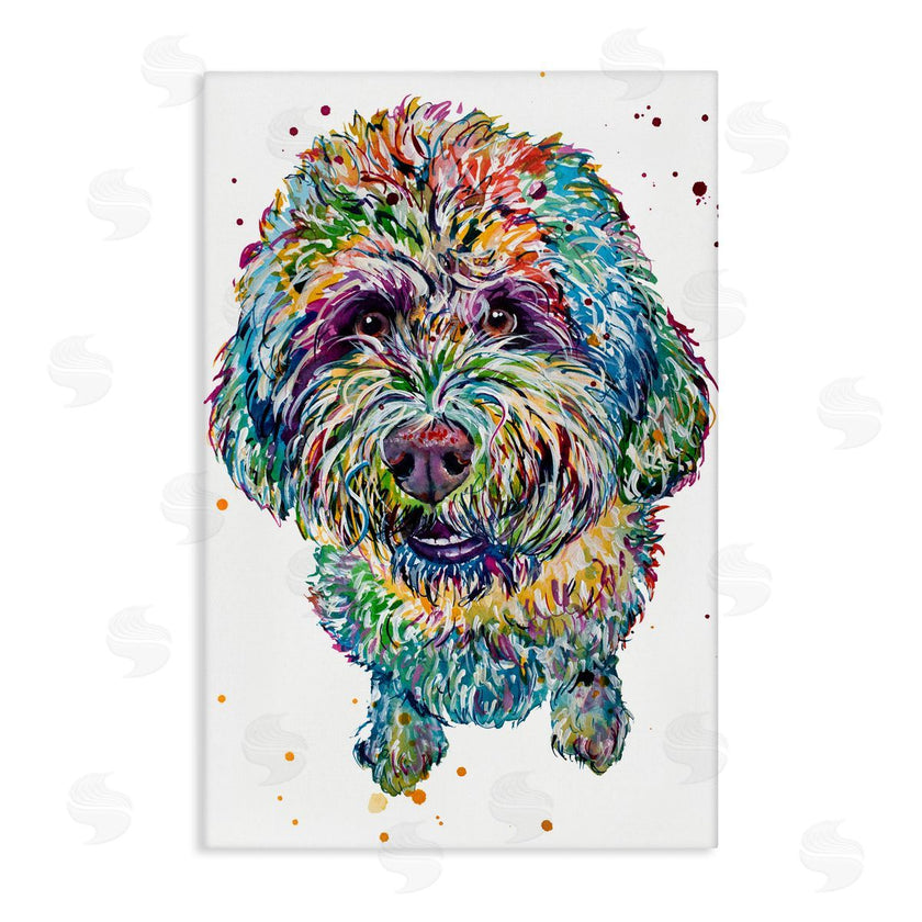 Jennifer Seeley | Lagotto Romagnolo Puppy