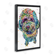 Jennifer Seeley | Lagotto Romagnolo Puppy