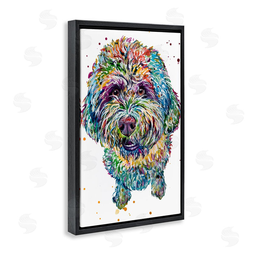 Jennifer Seeley | Lagotto Romagnolo Puppy
