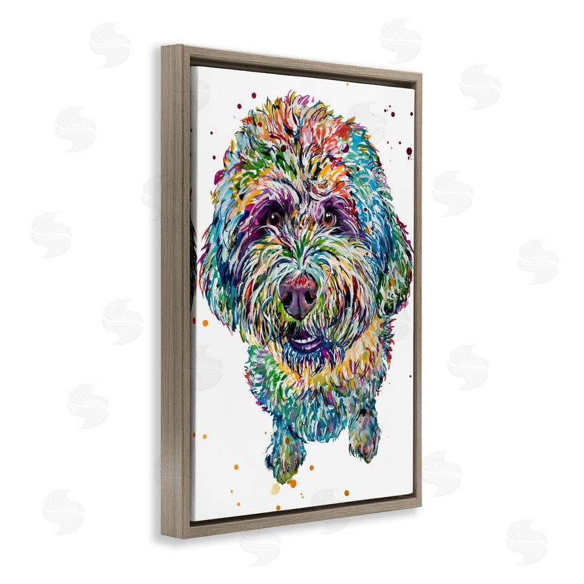 Jennifer Seeley | Lagotto Romagnolo Puppy