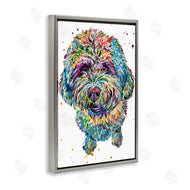 Jennifer Seeley | Lagotto Romagnolo Puppy