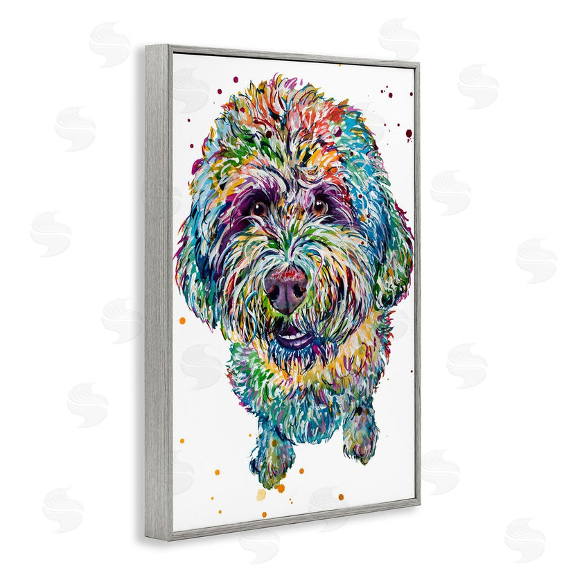 Jennifer Seeley | Lagotto Romagnolo Puppy