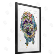 Jennifer Seeley | Lagotto Romagnolo Puppy