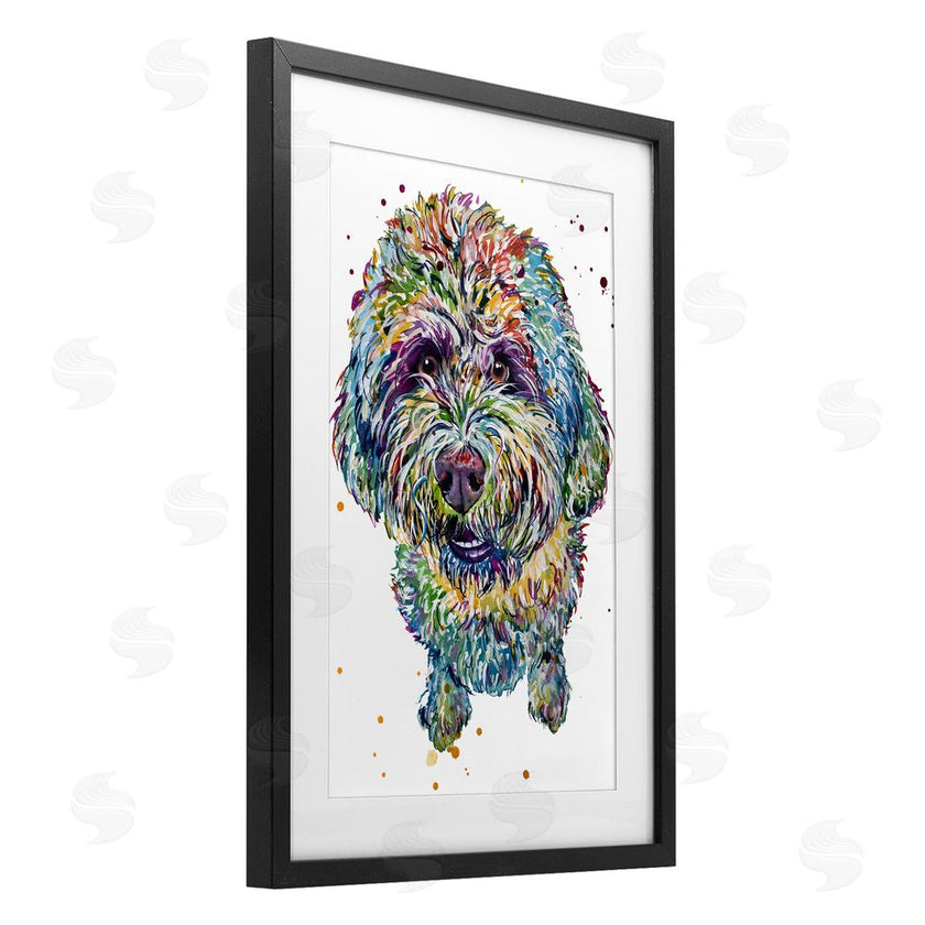 Jennifer Seeley | Lagotto Romagnolo Puppy