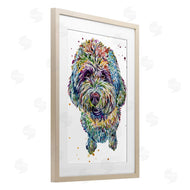 Jennifer Seeley | Lagotto Romagnolo Puppy