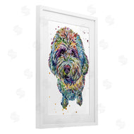Jennifer Seeley | Lagotto Romagnolo Puppy