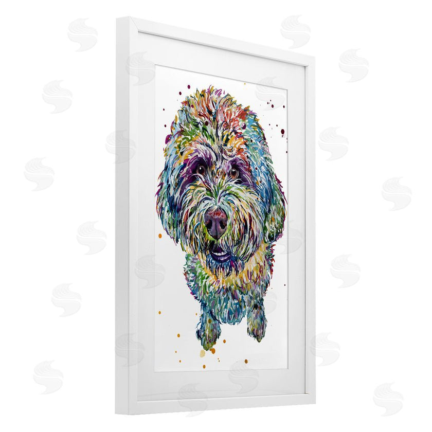 Jennifer Seeley | Lagotto Romagnolo Puppy